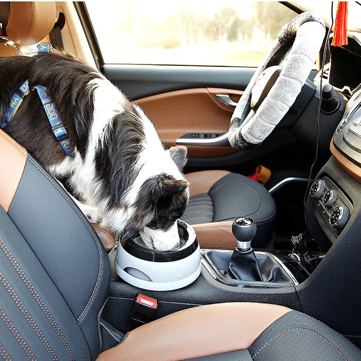 Pet Dog Bowls Floating Not Wetting Mouth Cat Bowl