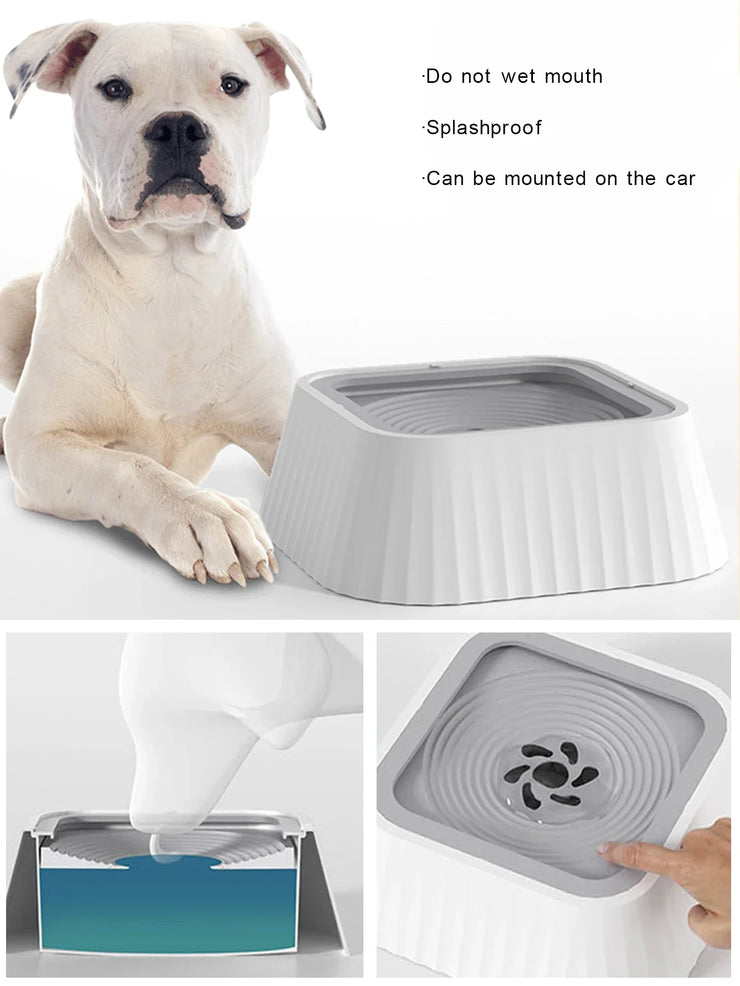 Pet Water Fountain with Floating Plates No Spill Dog Water Bowl
