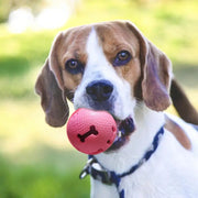 Dog Toy Ball Dog Fetch Ball Treat Dispenser