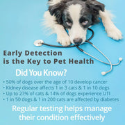 Pet Urine Testing Strips,