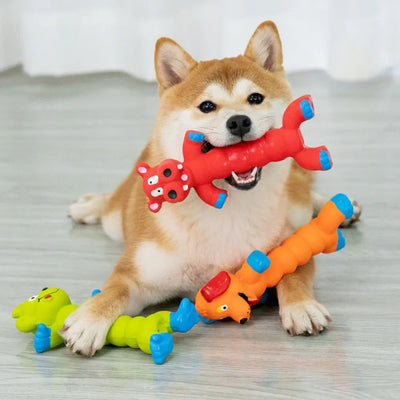 Squeaky Dog Toy - Chew Resistant for Teething & Dental Cleaning,