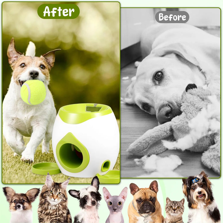 Dog Automatic Tennis Ball Launcher
