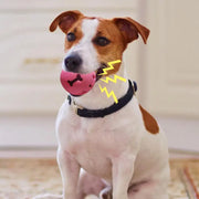 Dog Toy Ball Dog Fetch Ball Treat Dispenser