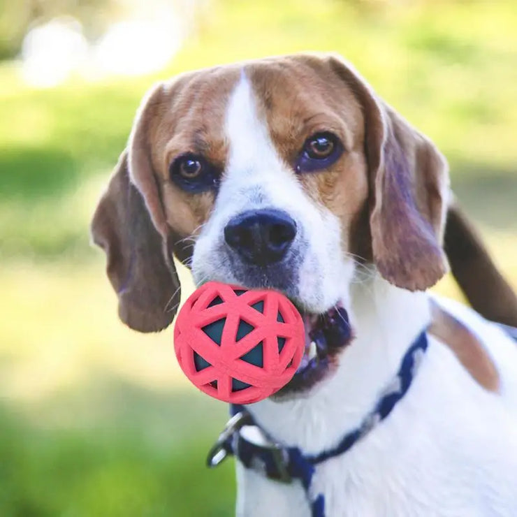 Dog Toy Ball Dog Fetch Ball Treat Dispenser