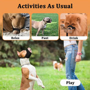Breed Dog Muzzle Dog Muzzle Breathable Mesh