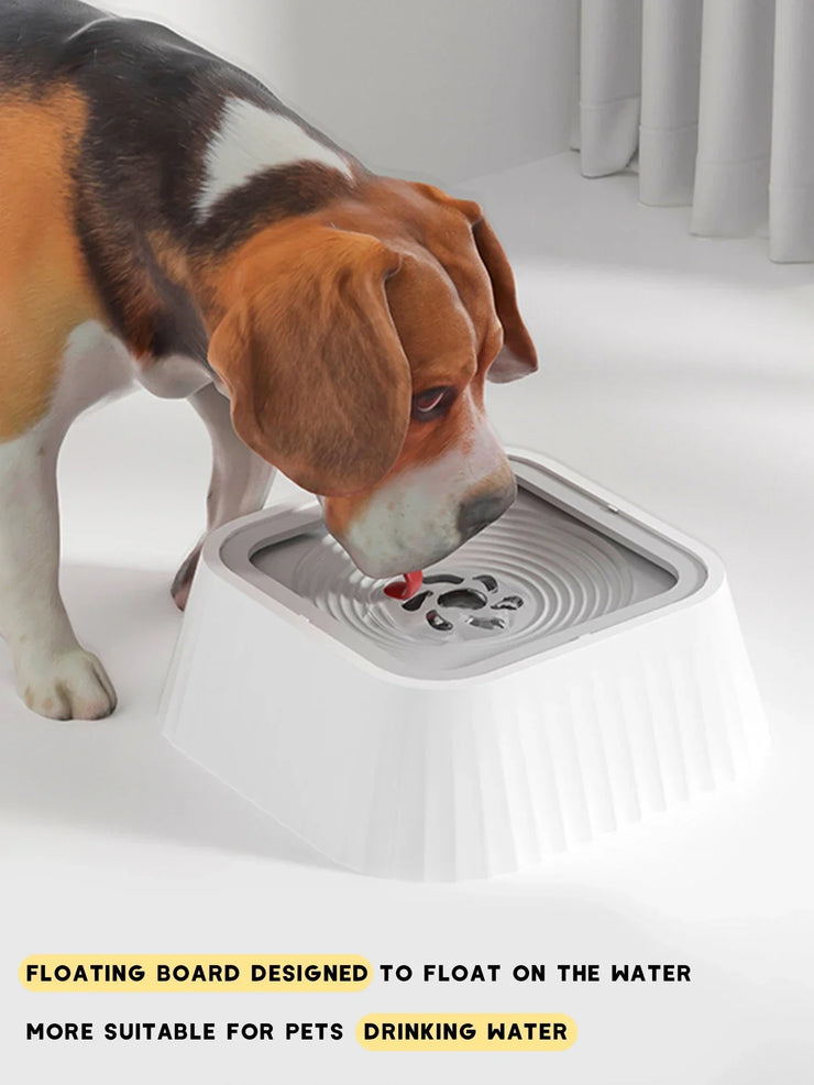 Pet Water Fountain with Floating Plates No Spill Dog Water Bowl