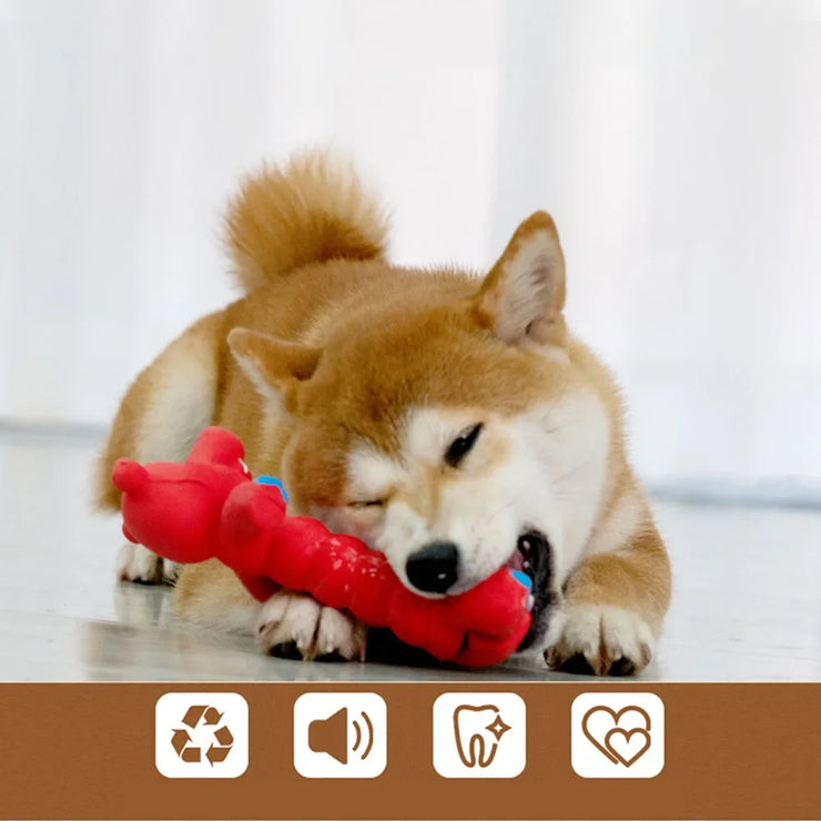 Squeaky Dog Toy - Chew Resistant for Teething & Dental Cleaning,
