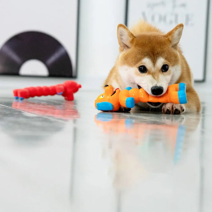 Squeaky Dog Toy - Chew Resistant for Teething & Dental Cleaning,