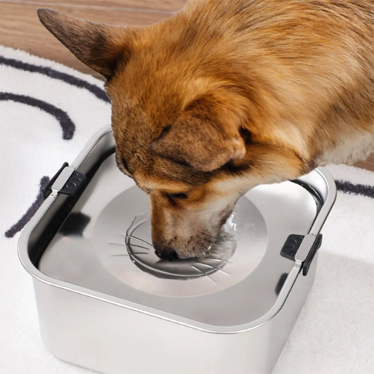 3L Stainless Steel No Spill Pet Water