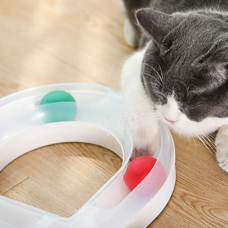 Cat Tunnel Funny Cat Fun Track 8 Shaped