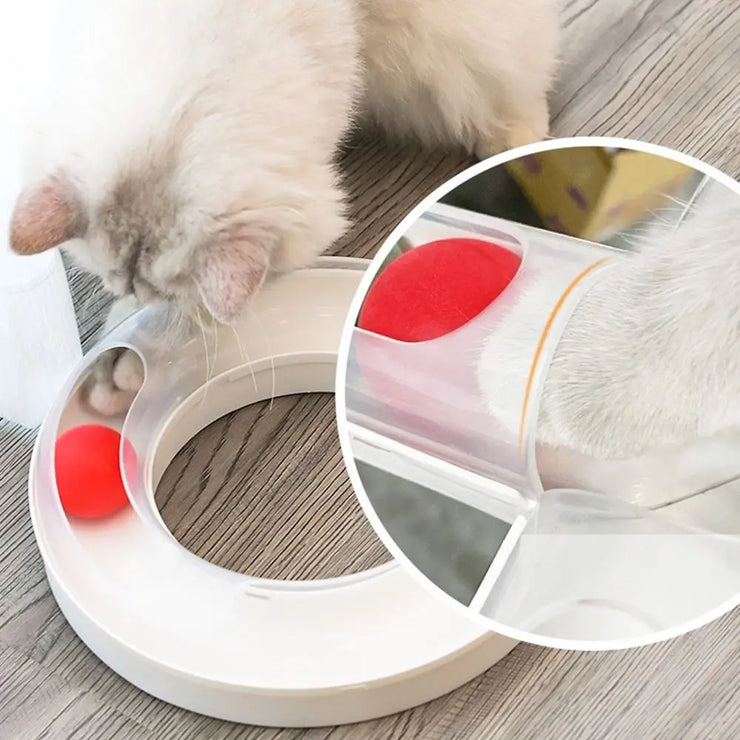 Cat Tunnel Funny Cat Fun Track 8 Shaped