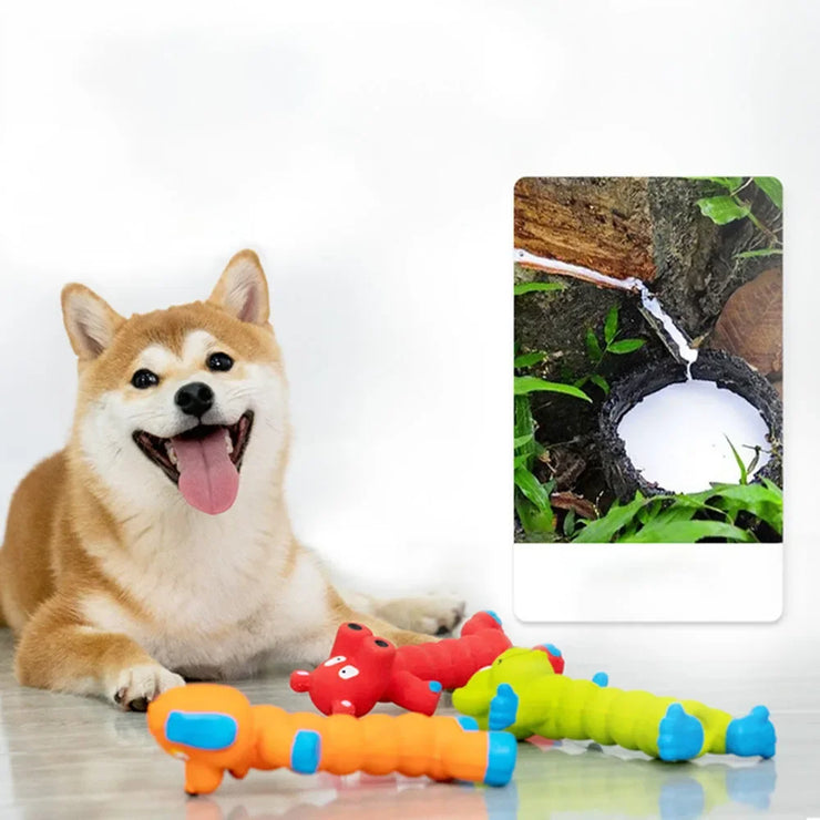 Squeaky Dog Toy - Chew Resistant for Teething & Dental Cleaning,