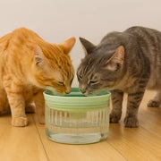Large Capacity Pet Water Bowl