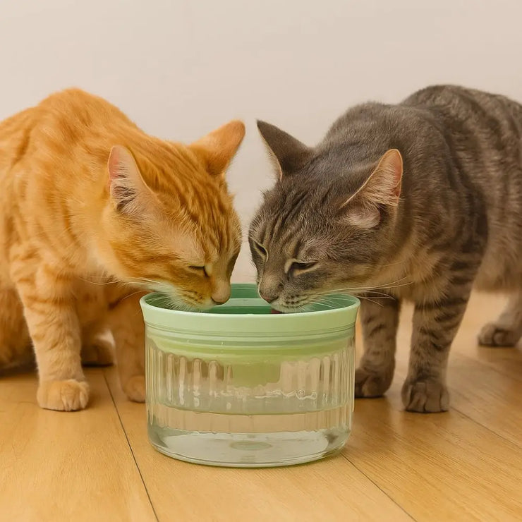 Large Capacity Pet Water Bowl