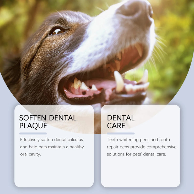 Pet Teeth Whitening Pen Set Pet Teeth Cleaning