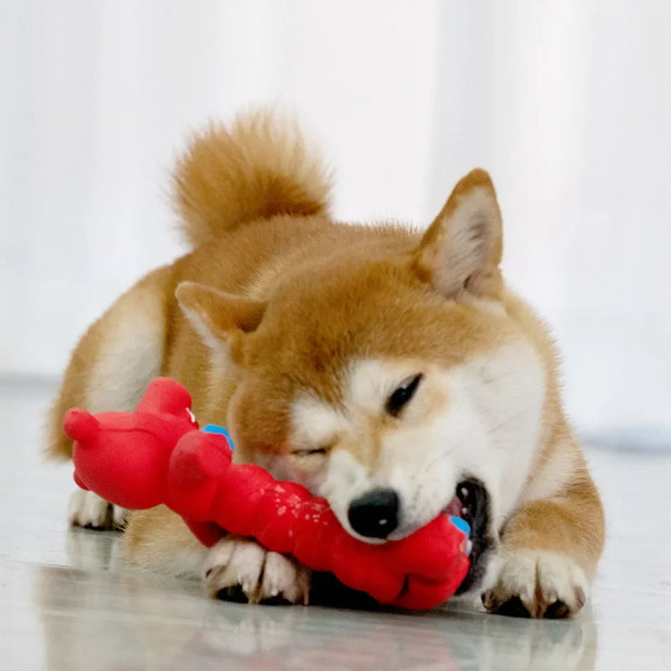 Squeaky Dog Toy - Chew Resistant for Teething & Dental Cleaning,