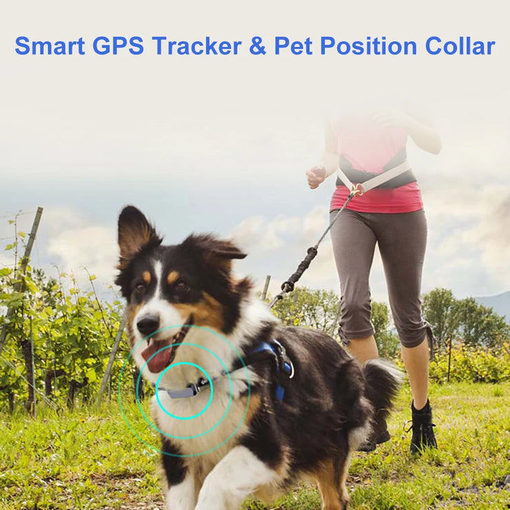 Smart GPS Tracker GSM Pet Position Collar