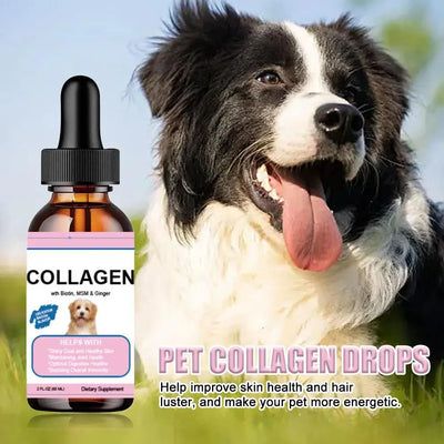 Pet Collagen Drops For Dogs And Cats