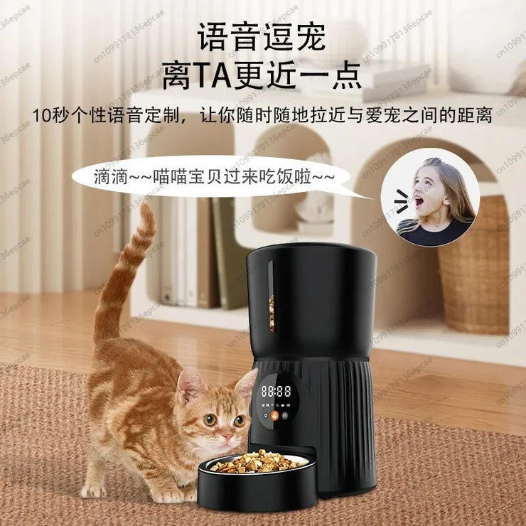 Smart WiFi connection pet feeder household
