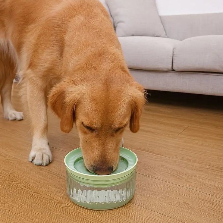 Large Capacity Pet Water Bowl