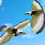 1Pcs Electric Flying Eagle Electronic Pet