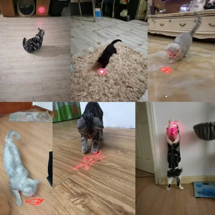 Laser Pointer Cat Toy, Interactive Toy with Red Dot LED Light Pointer, USB Recharge Pointer (1 pcs)