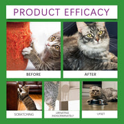 Cat Calming Diffuser Kit Refill Calming Mood Relaxing