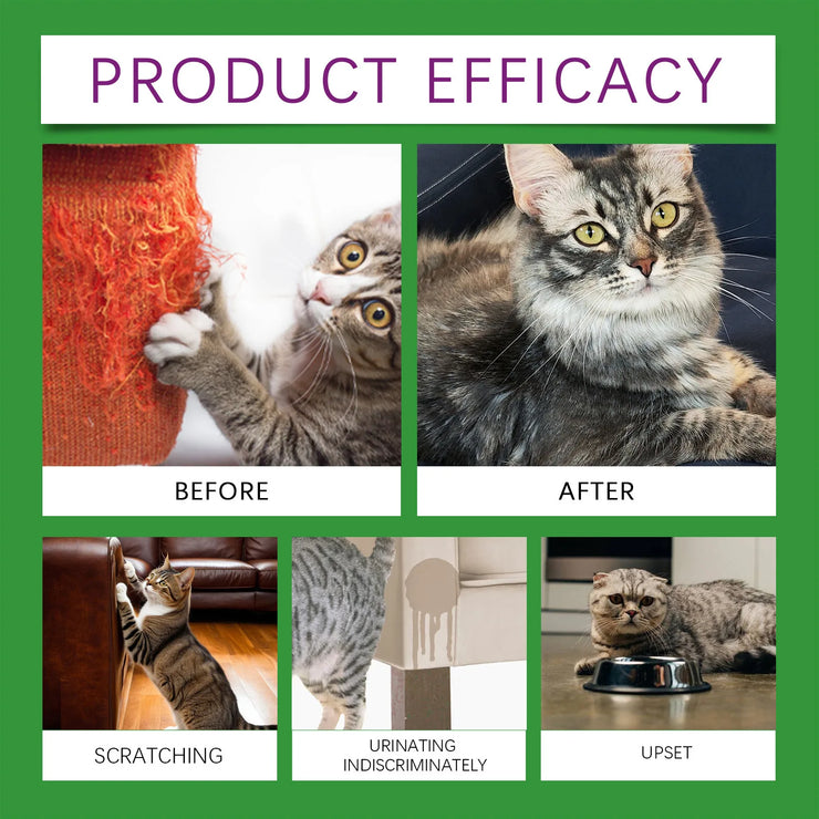 Cat Calming Diffuser Kit Refill Calming Mood Relaxing