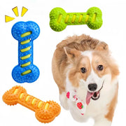 Dog Chew Toy Squeaky Bones Bite-resistant